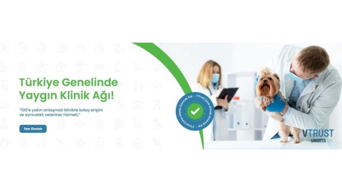 Bursa'da Köpek Sağlık Sigortası Ve Sorumluluk Teminatı Önerileri